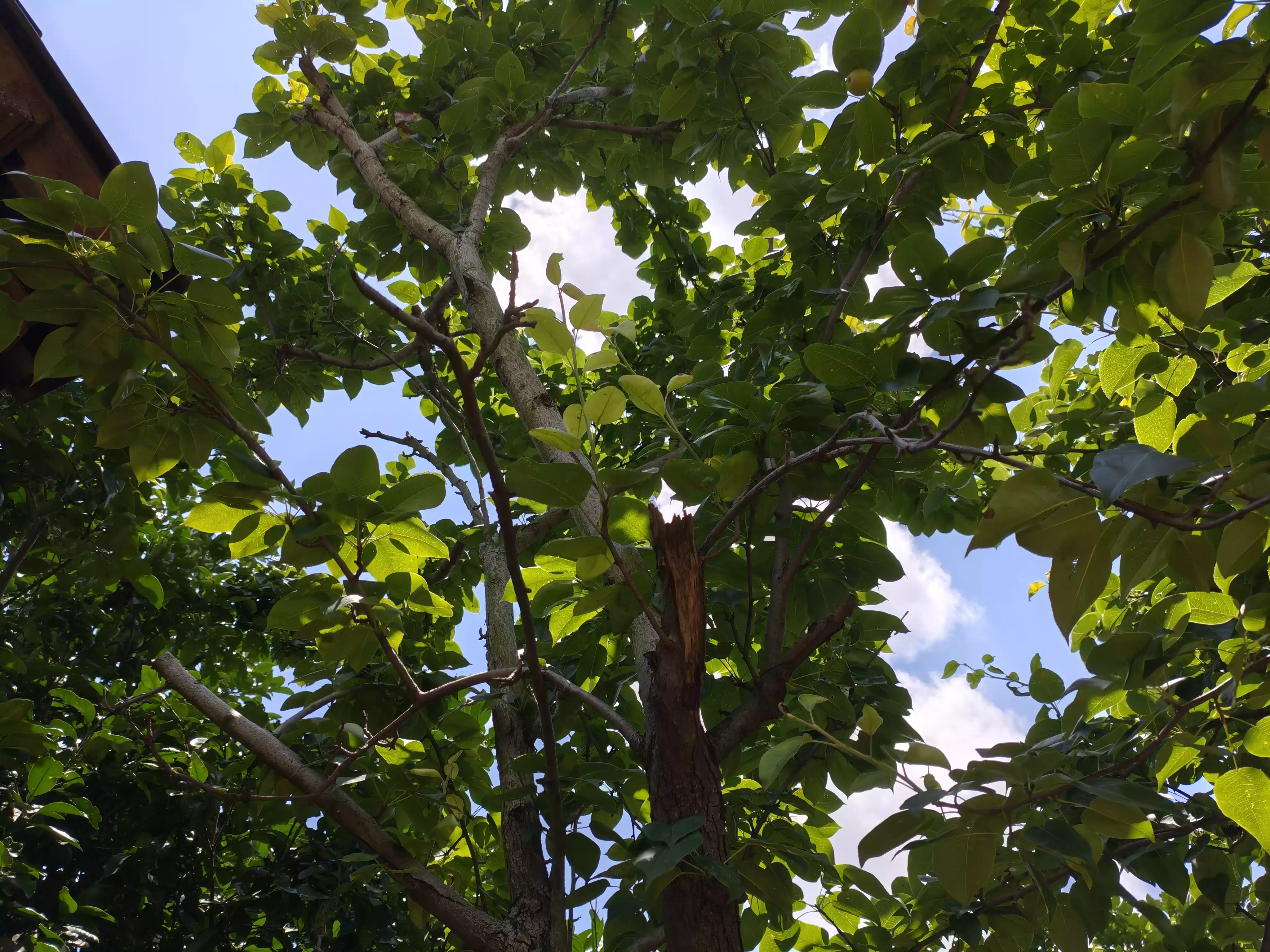 IMG_20250530_123241.webp