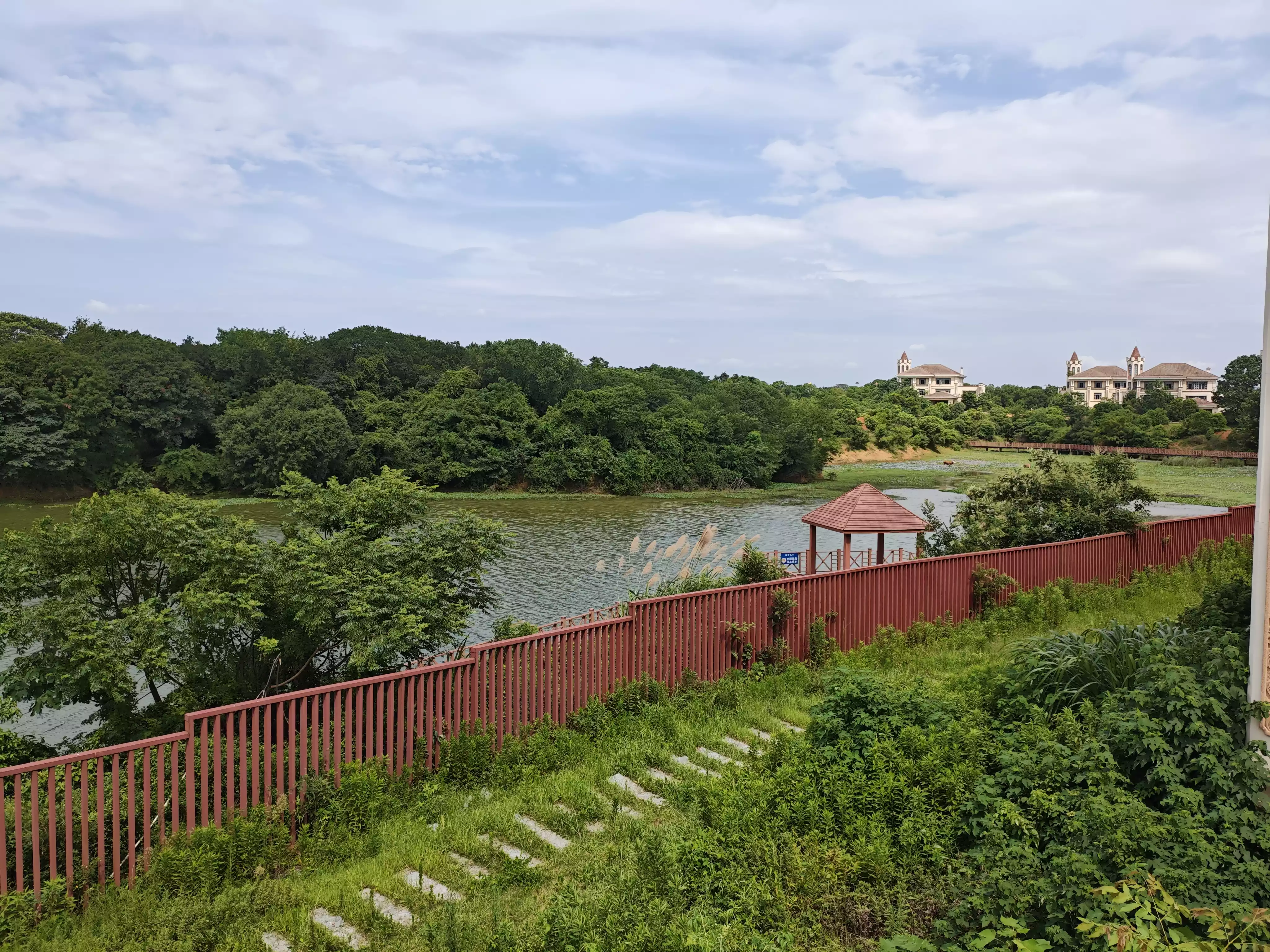 IMG_20250621_095919.webp
