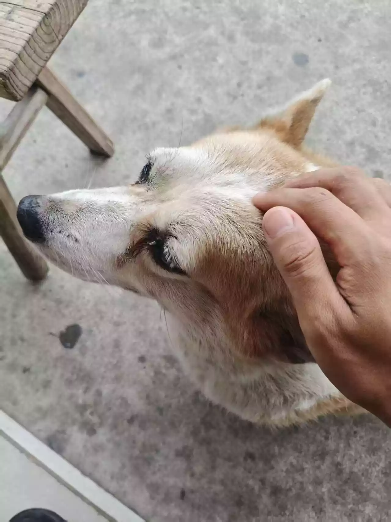 微信图片_20251003084147_8.webp